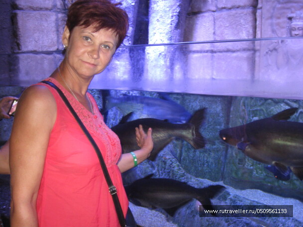 photo 1382925