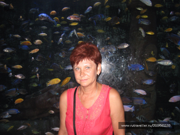 photo 1382930