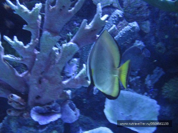 photo 1382932
