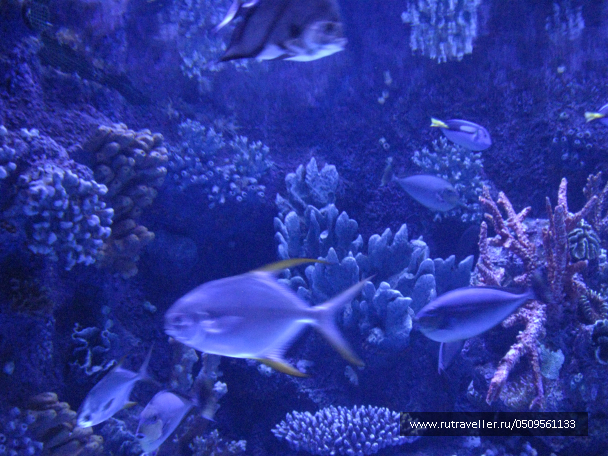 photo 1382933