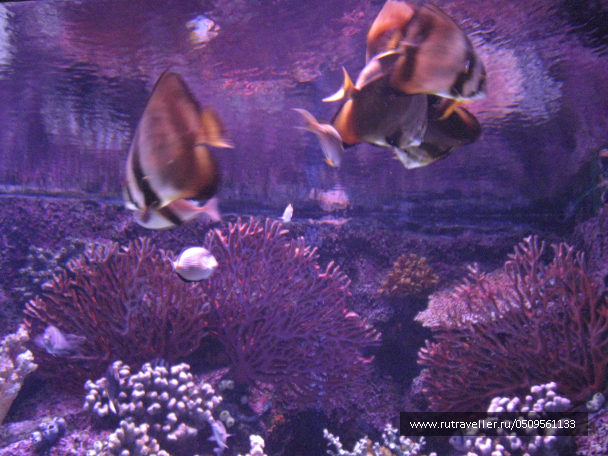 photo 1382935