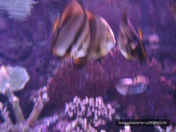 photo 1382936