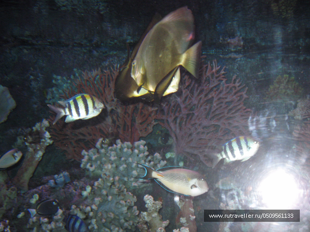 photo 1382937