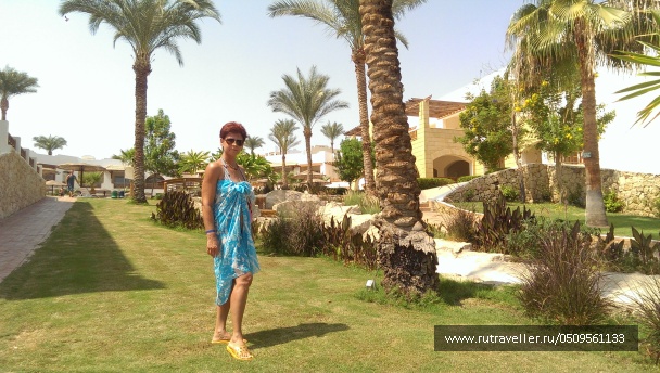 photo 1724661
