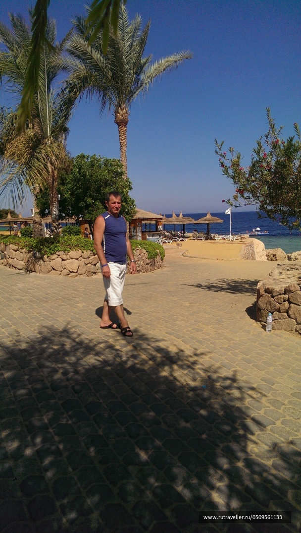photo 1724712