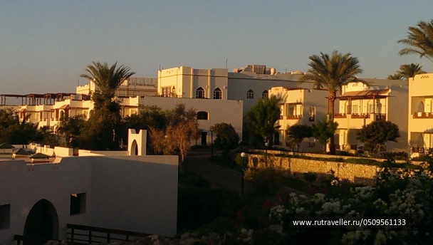 photo 1724716