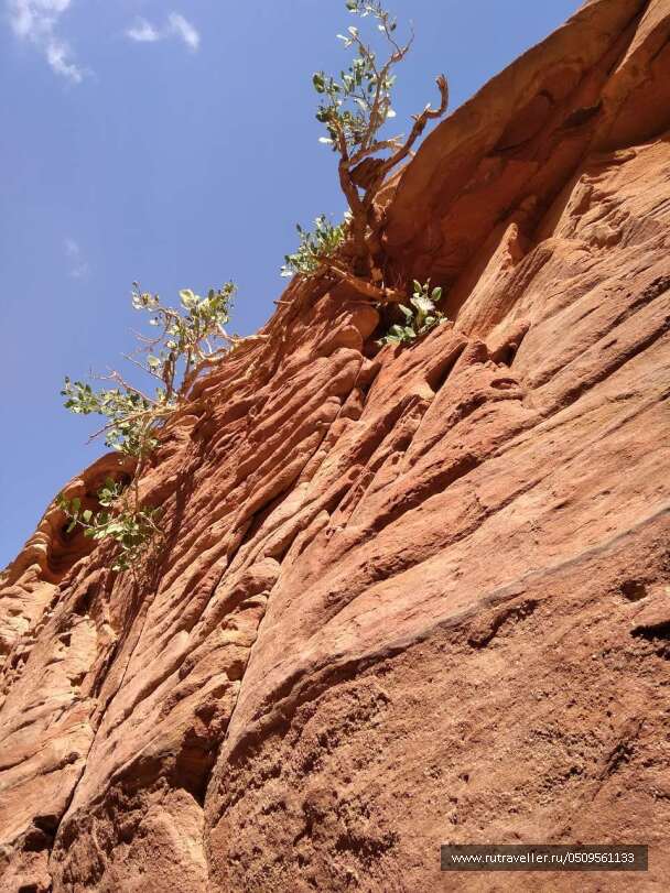 photo 1724588