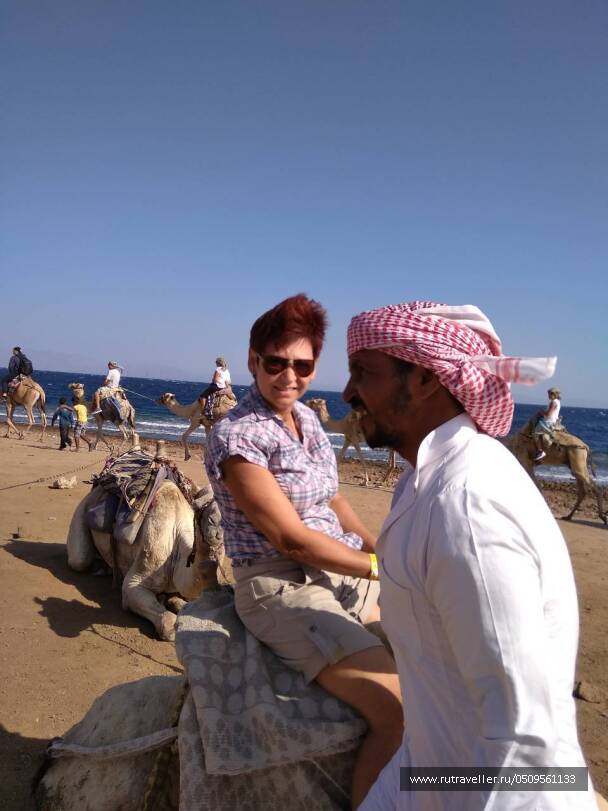 photo 1724591