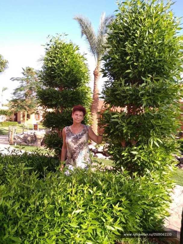 photo 2031257