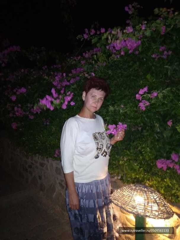 photo 2031275