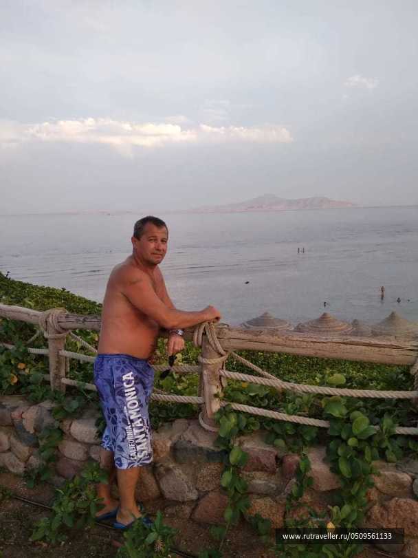 photo 2031294