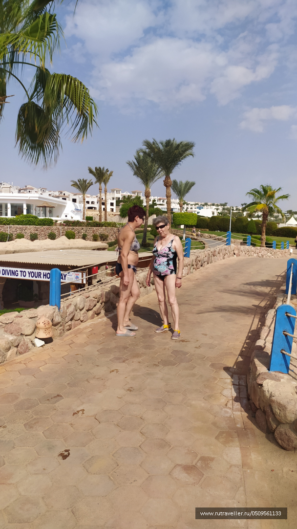 photo 2031382