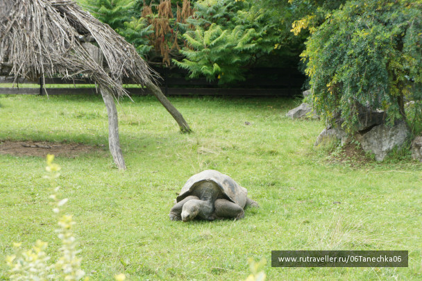 photo 177328