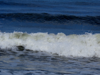 photo 1135648