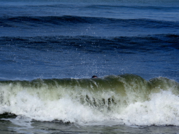 photo 1135649