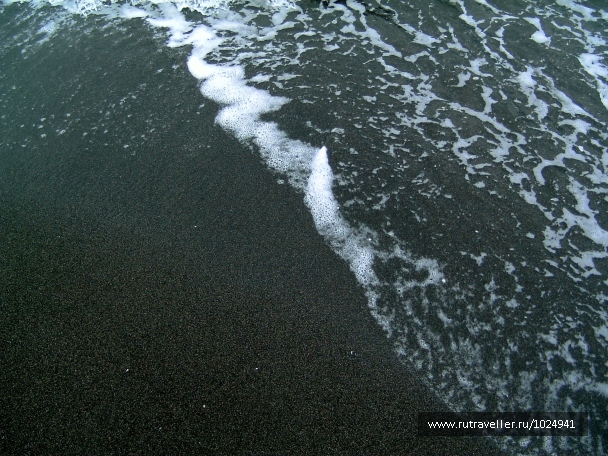 photo 1139444