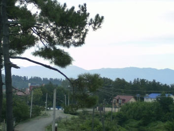 photo 1139803