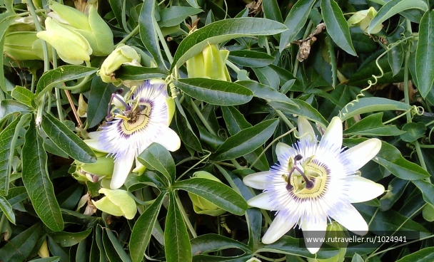photo 1404947