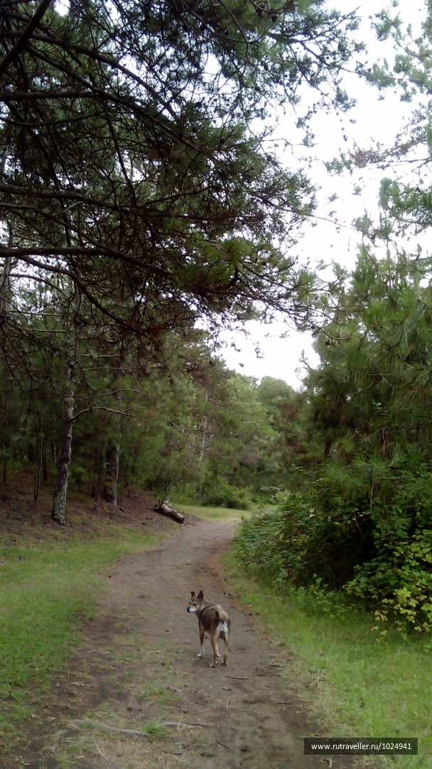 photo 1404951