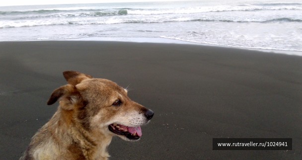 photo 1404954
