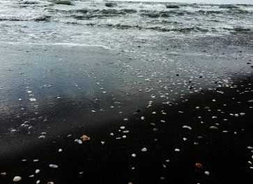 photo 1725915