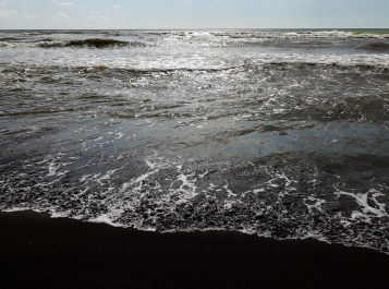 photo 1725921
