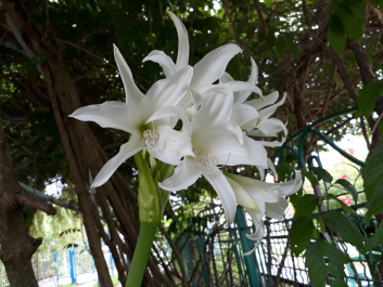 photo 1726008