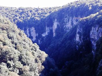 photo 1726064