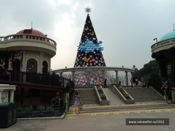 photo 1523444