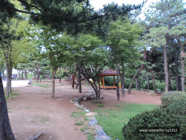 photo 1525334