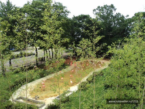 photo 1525344