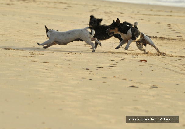 photo 267172
