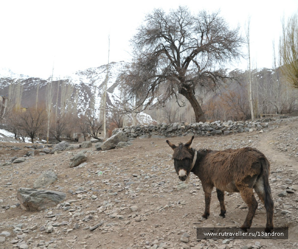 photo 717331