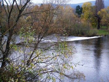 photo 1568797