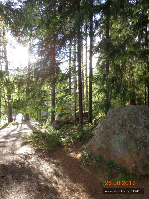 photo 1568494
