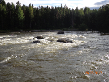 photo 1568496