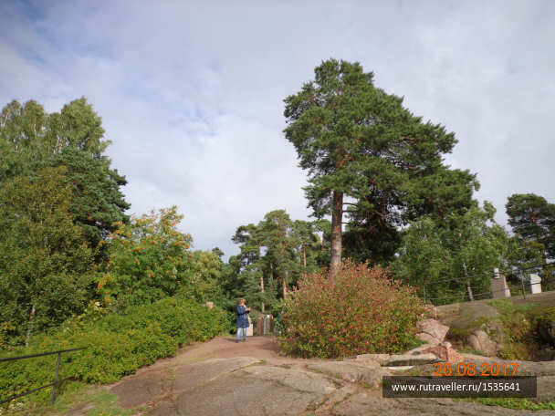 photo 1568506