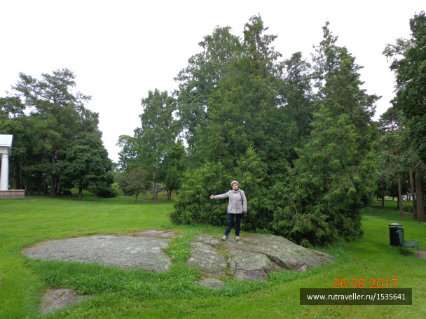 photo 1568508
