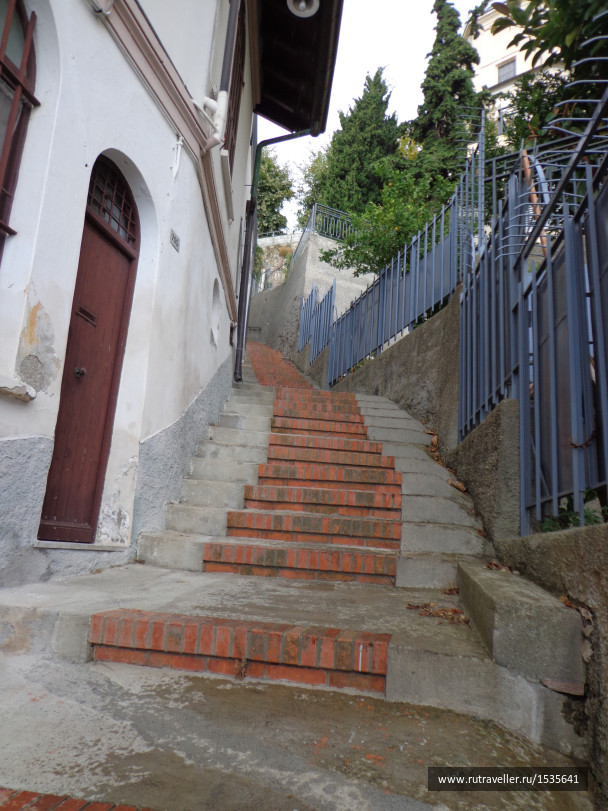 photo 1589013