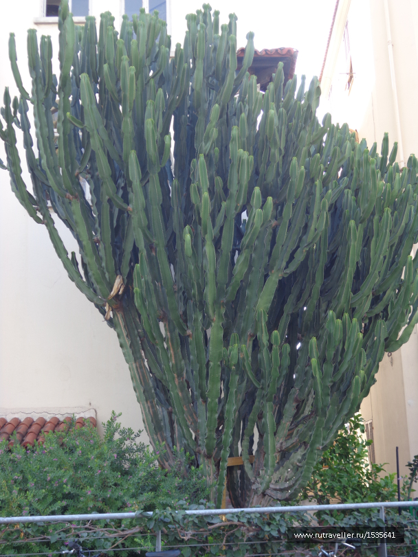 photo 1589016