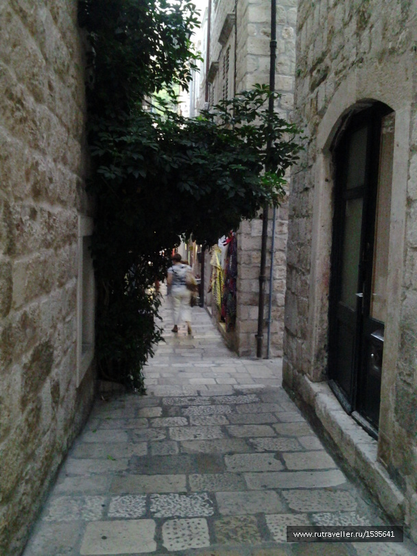 photo 1589805