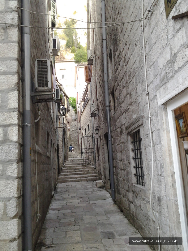 photo 1589806