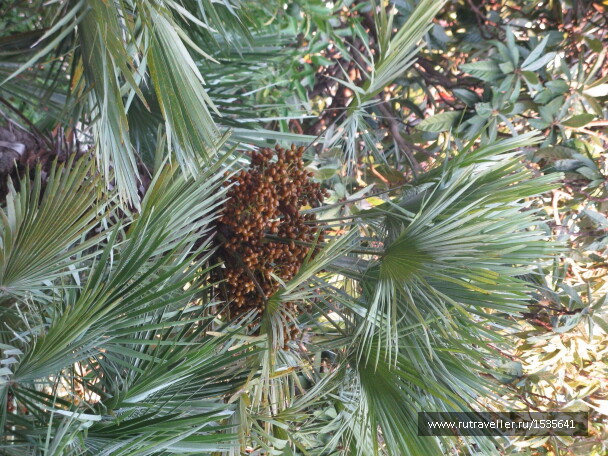 photo 1589871