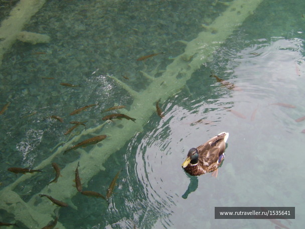 photo 1589943