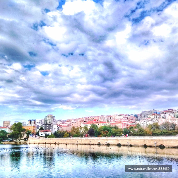 photo 1569200