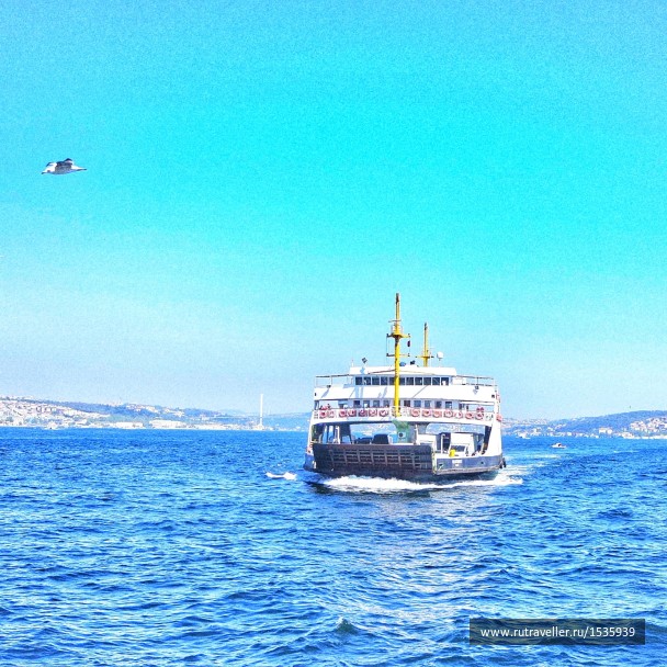 photo 1569205