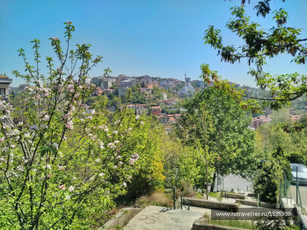 photo 1569280