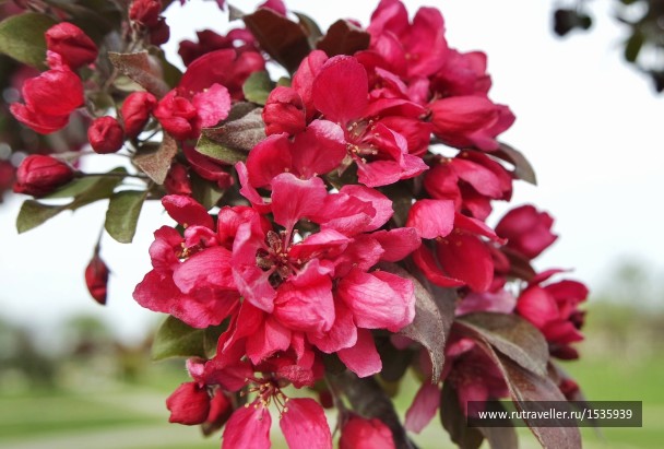 photo 1569314
