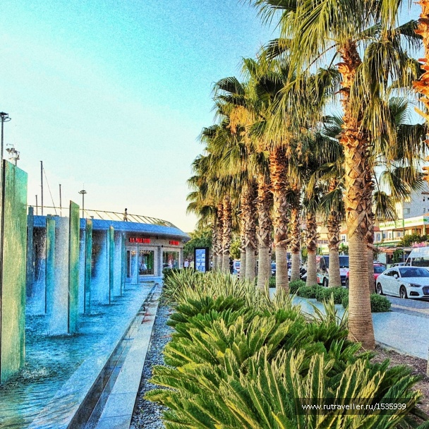 photo 1569268