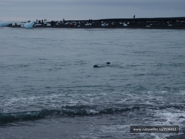 photo 1569766